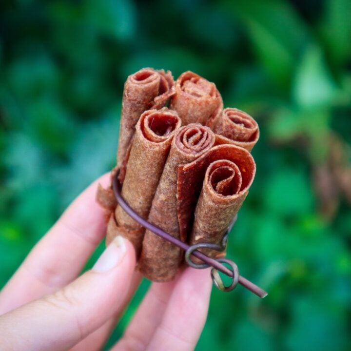 fruit leather
