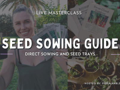Seed Starting guide – Direct and Seed Trays
