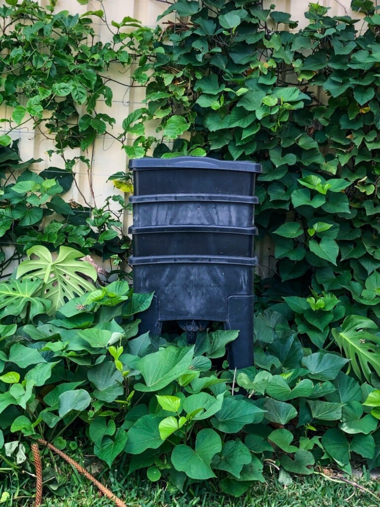 vertical gardening