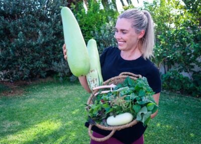 Vertical Gardening: The Best Annual Edible Climbers to Plant in Spring