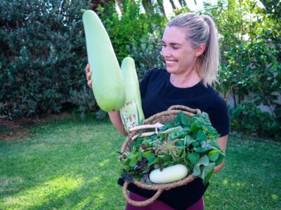 Vertical Gardening: The Best Annual Edible Climbers to Plant in Spring