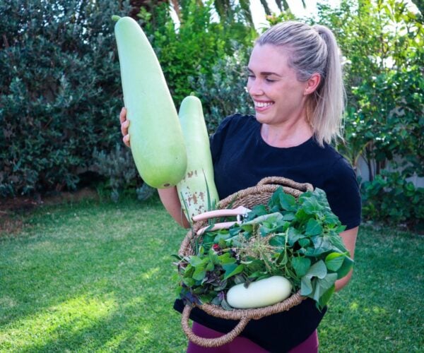 Vertical Gardening: The Best Annual Edible Climbers to Plant in Spring