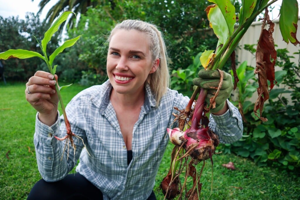 Ways to Make Money From Your Garden or Homestead