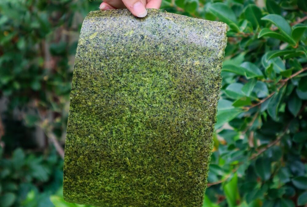 How to Make Spinach Wraps – Easy, Healthy & Gluten-Free Recipe