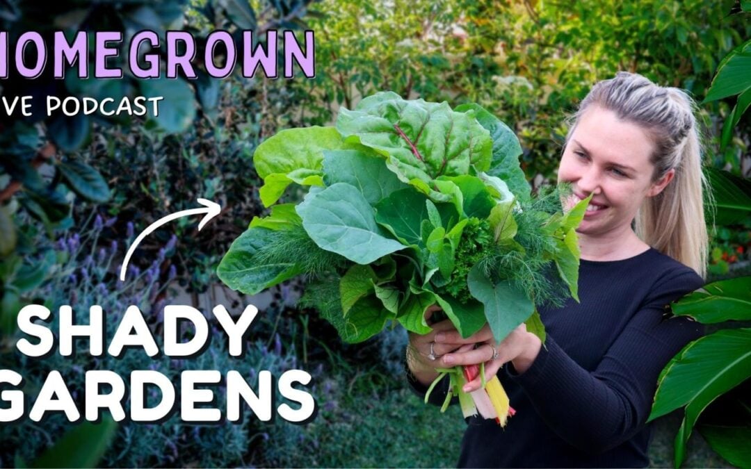 Shady situations: How to grow food in a shady garden 🌿 Homegrown Podcast