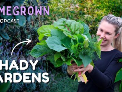 Shady situations: How to grow food in a shady garden 🌿 Homegrown Podcast