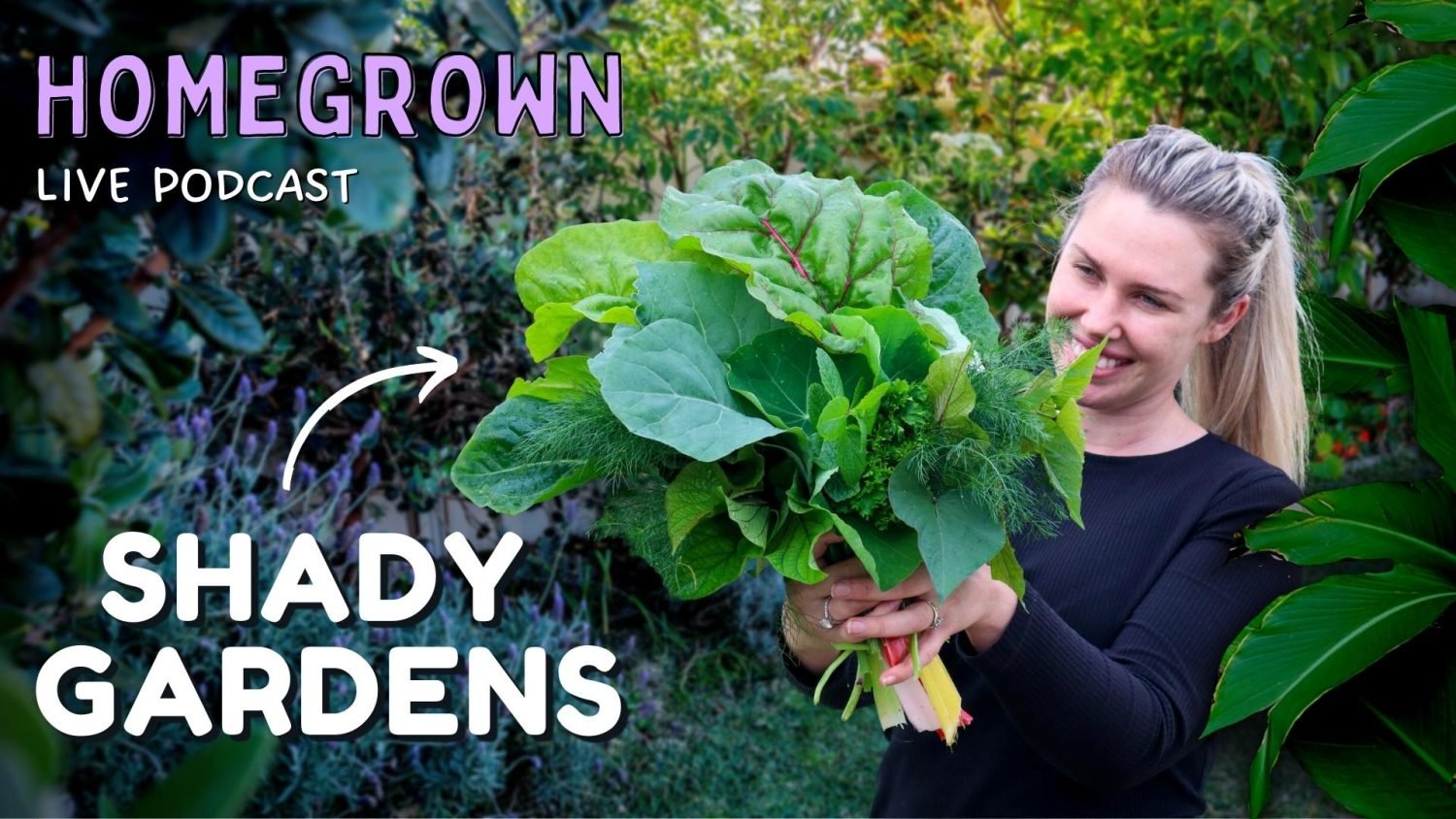 Shady situations How to grow food in a shady garden 🌿 Homegrown