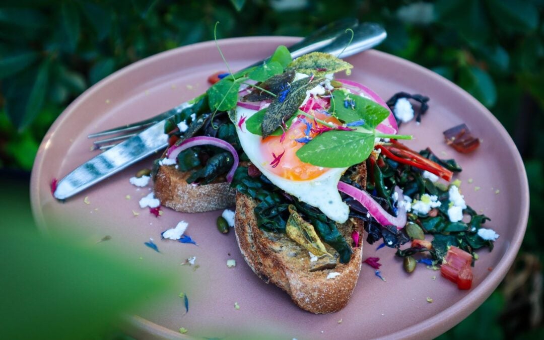 Sautéed Rainbow Chard on Toast with Feta, Crispy Sage and Pickled Onions