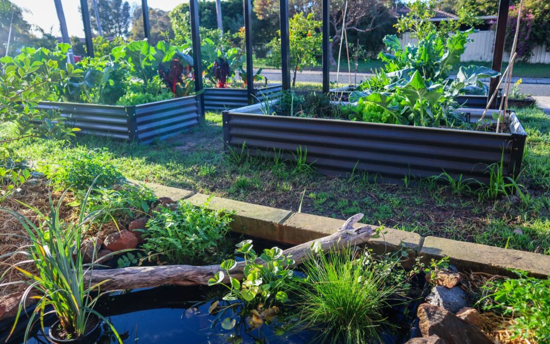 Creating a small wildlife pond in the garden