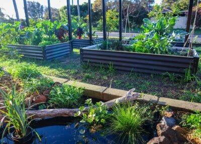 Creating a small wildlife pond in the garden
