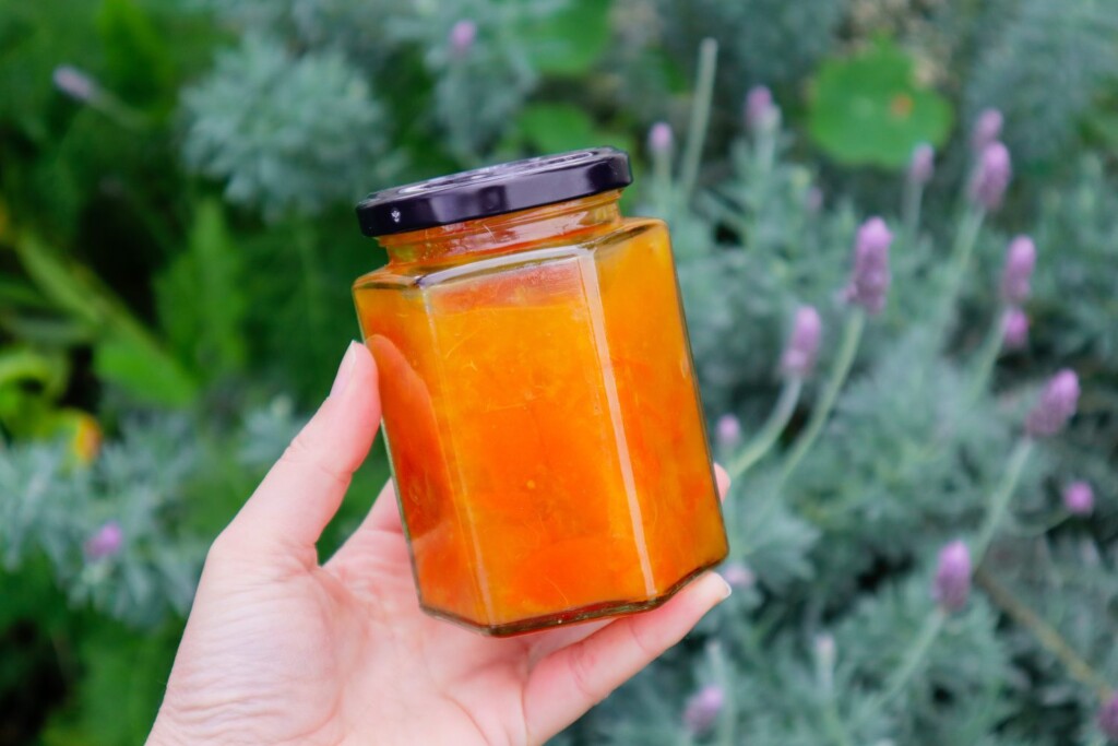 how to grow kumquat