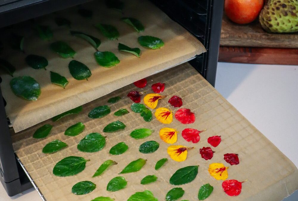 Candied Mint leaves