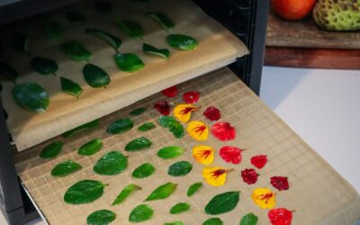 Candied Mint leaves