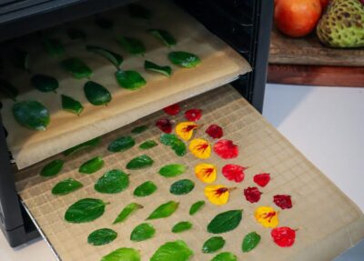 Candied Mint leaves