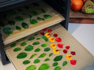 Candied Mint leaves