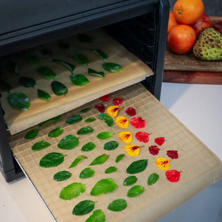 candied mint leaves
