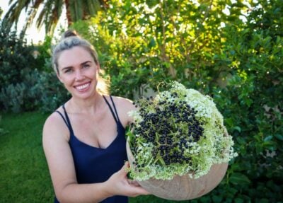 What Fruit Trees & Edible Plants to Avoid Planting in the Ground!