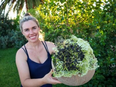 What Fruit Trees & Edible Plants to Avoid Planting in the Ground!