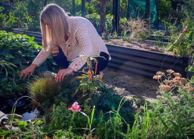 How to Build a Mini Wildlife Pond: 1.5-Year Update & Lessons Learned