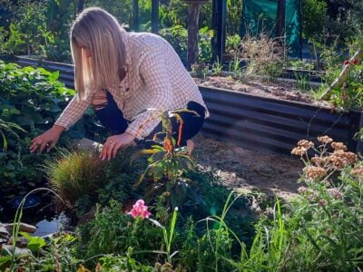 How to Build a Mini Wildlife Pond: 1.5-Year Update & Lessons Learned