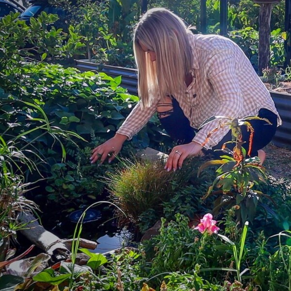 Onsite Edible Garden Consultation (Perth) - Image 5