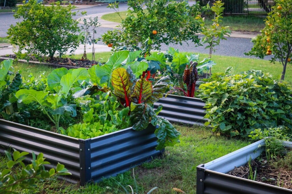 and boost your homegrown food security.