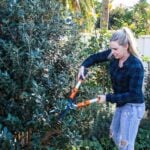 urban permaculture