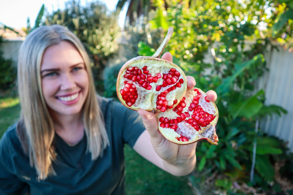 pomegranate