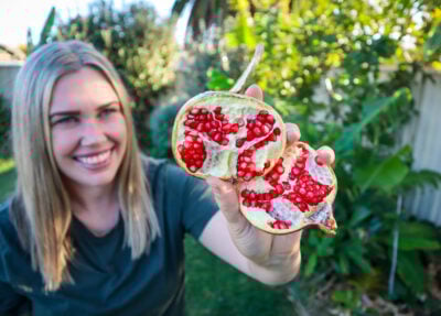 Growing an Urban Food Forest on Less Than 1/5 Acre – Autumn Garden Tour