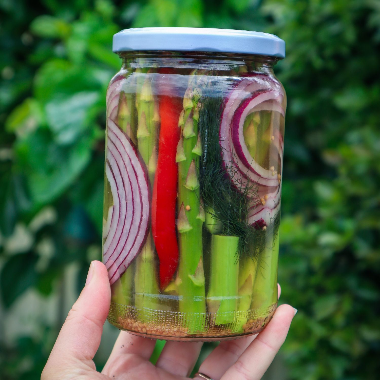 how to grow asparagus