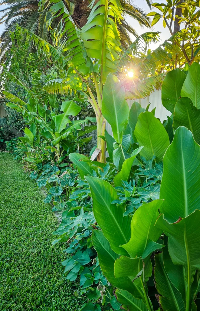 urban food forest