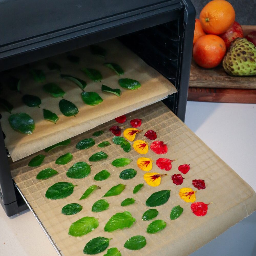 candied mint leaves