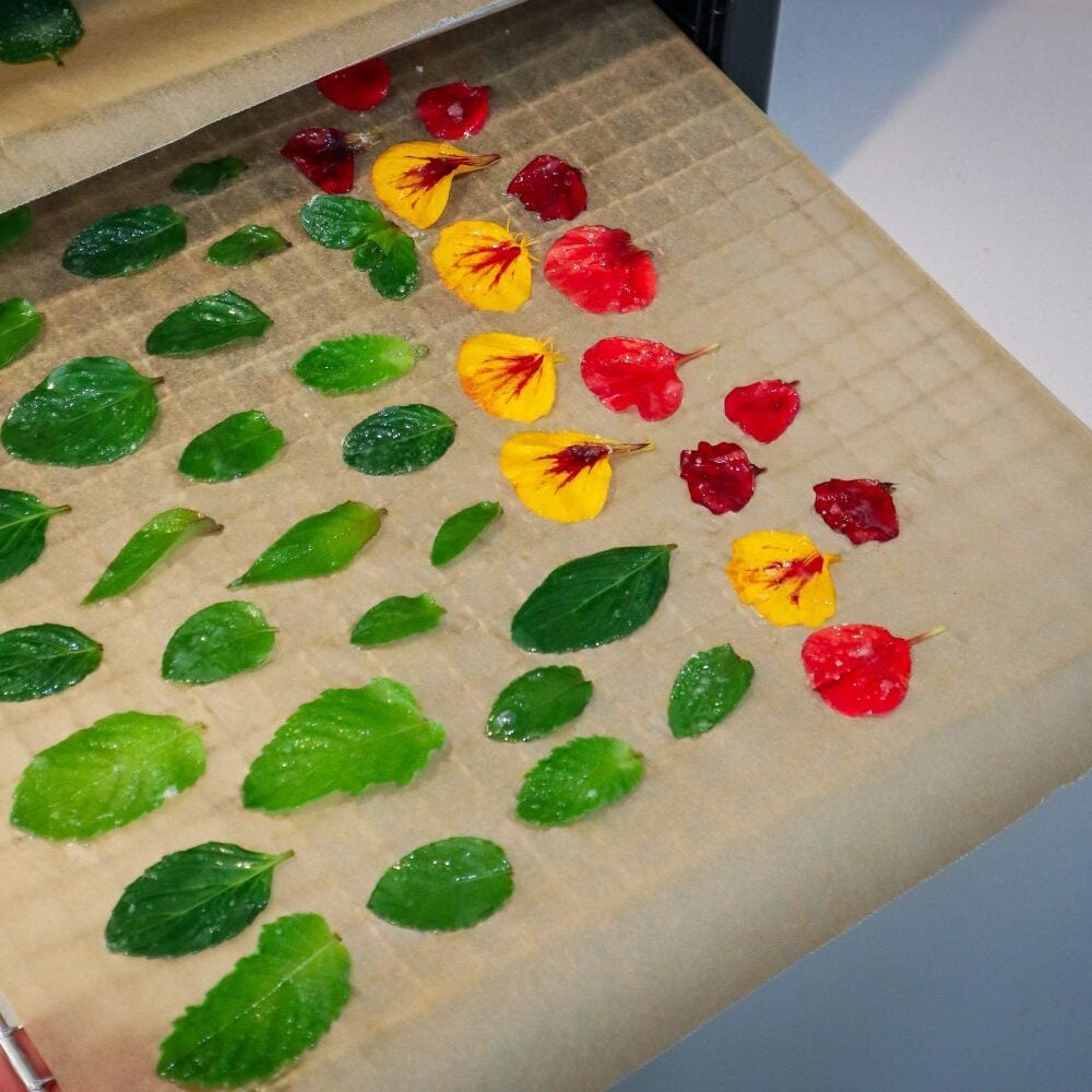 candied mint leaves