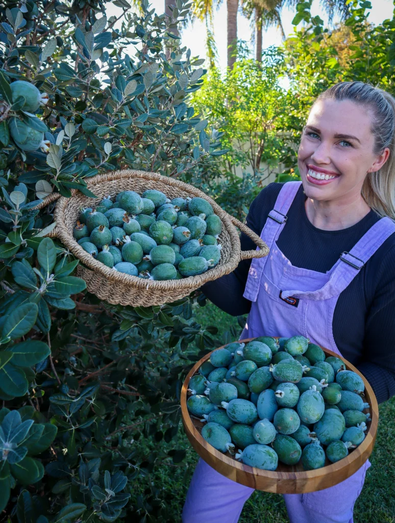 feijoa fruit