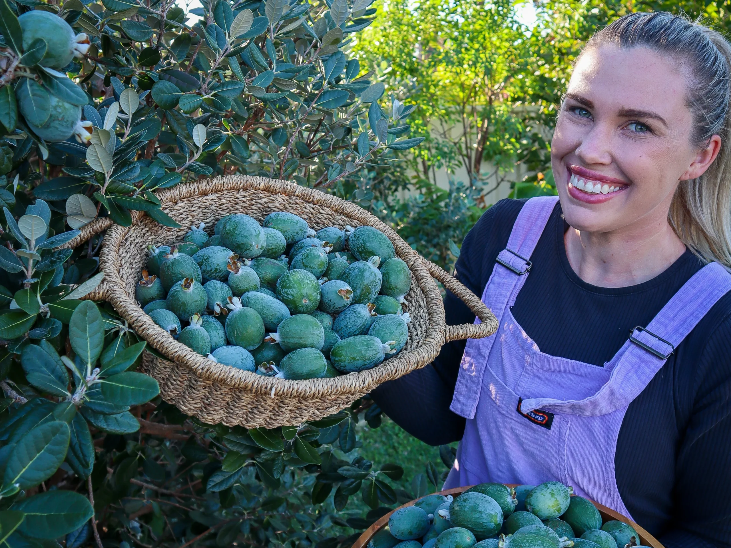 feijoa fruit