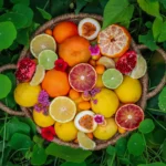 winter citrus fruit