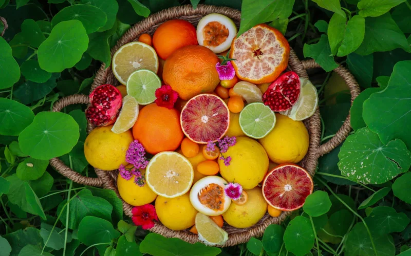 How to Grow More Fruit in Less Space – 5 Practical Tips That Work