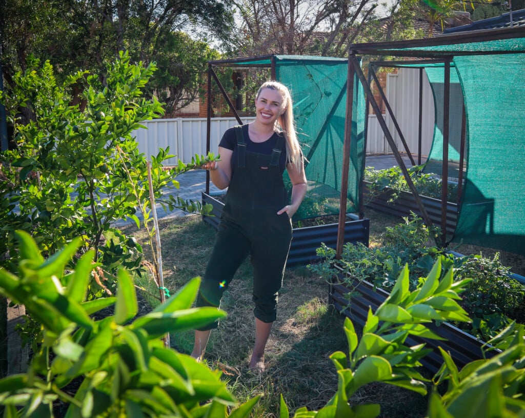 temporary windbreaks for heat stress