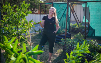 How to Create Windbreaks to Reduce Heat Stress and Protect Your Garden This Summer