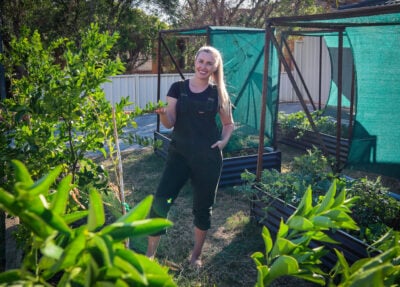 How to Create Windbreaks to Reduce Heat Stress and Protect Your Garden This Summer