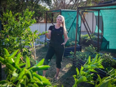 How to Create Windbreaks to Reduce Heat Stress and Protect Your Garden This Summer