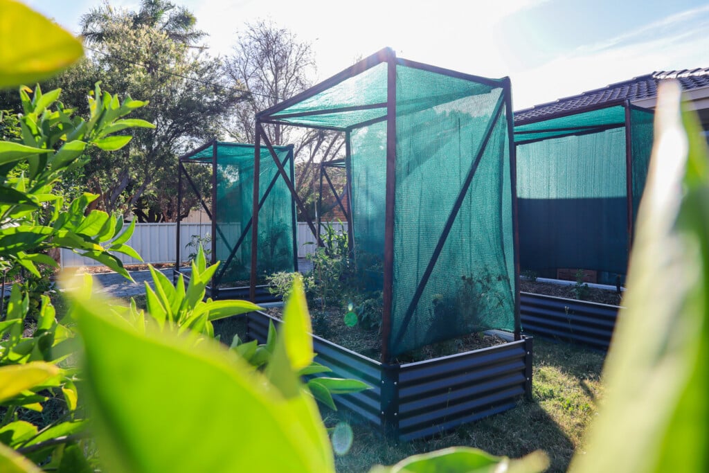 temporary windbreaks for heat stress