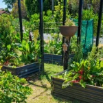 Protect your garden from Heat