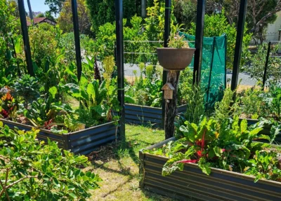 How to Protect your Garden from Heat in a Hot Climate (And Keep It Thriving All Year)