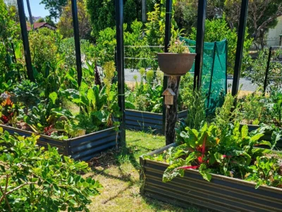 How to Protect your Garden from Heat in a Hot Climate (And Keep It Thriving All Year)