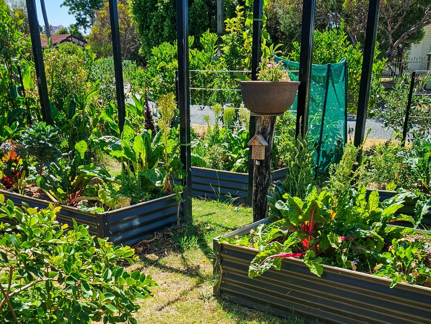 Protect your garden from Heat