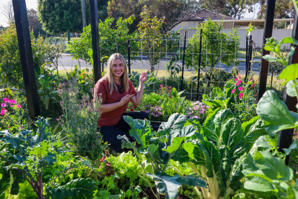 Onsite Edible Garden Consultation (Perth) - Image 3