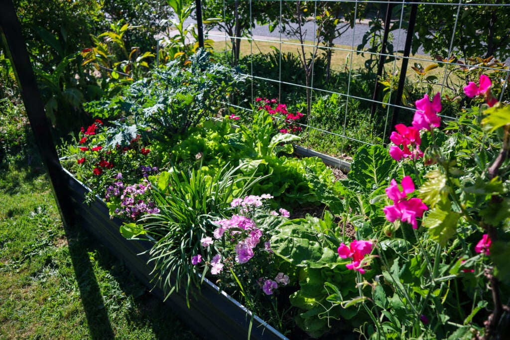 how to stop grass in garden beds