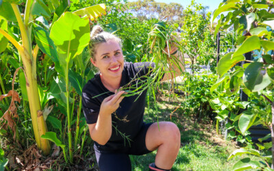 How to Stop Grass Growing in Garden Beds — The Natural Way
