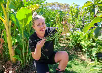 How to Stop Grass Growing in Garden Beds — The Natural Way